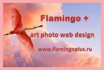 flamingoplus.ru